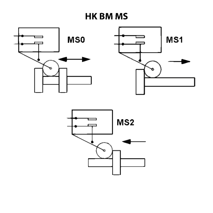 HK BM MS